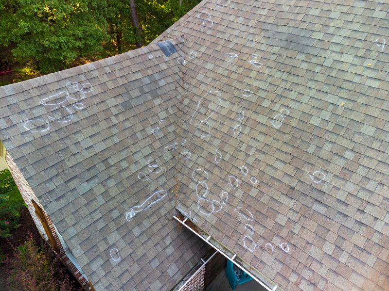 Asphalt Roof Inspection