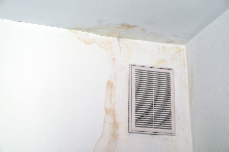 Roof Leak Detection Service
