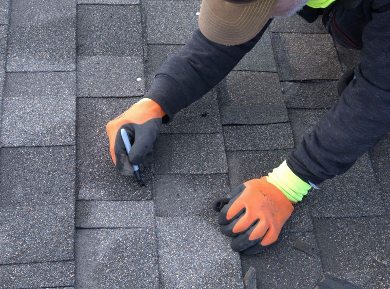 Shingle Repair