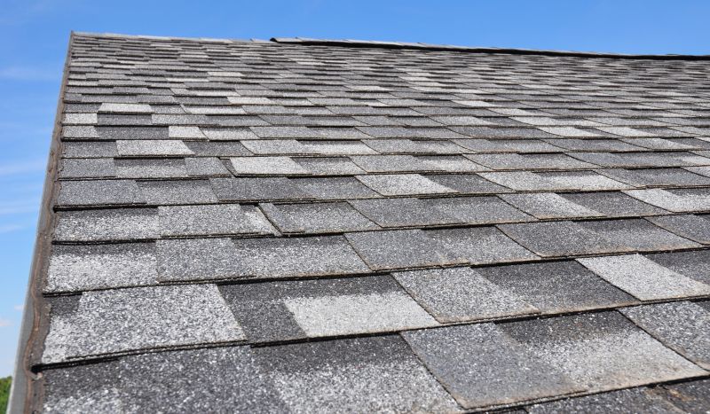 Specialty Roofing Providers